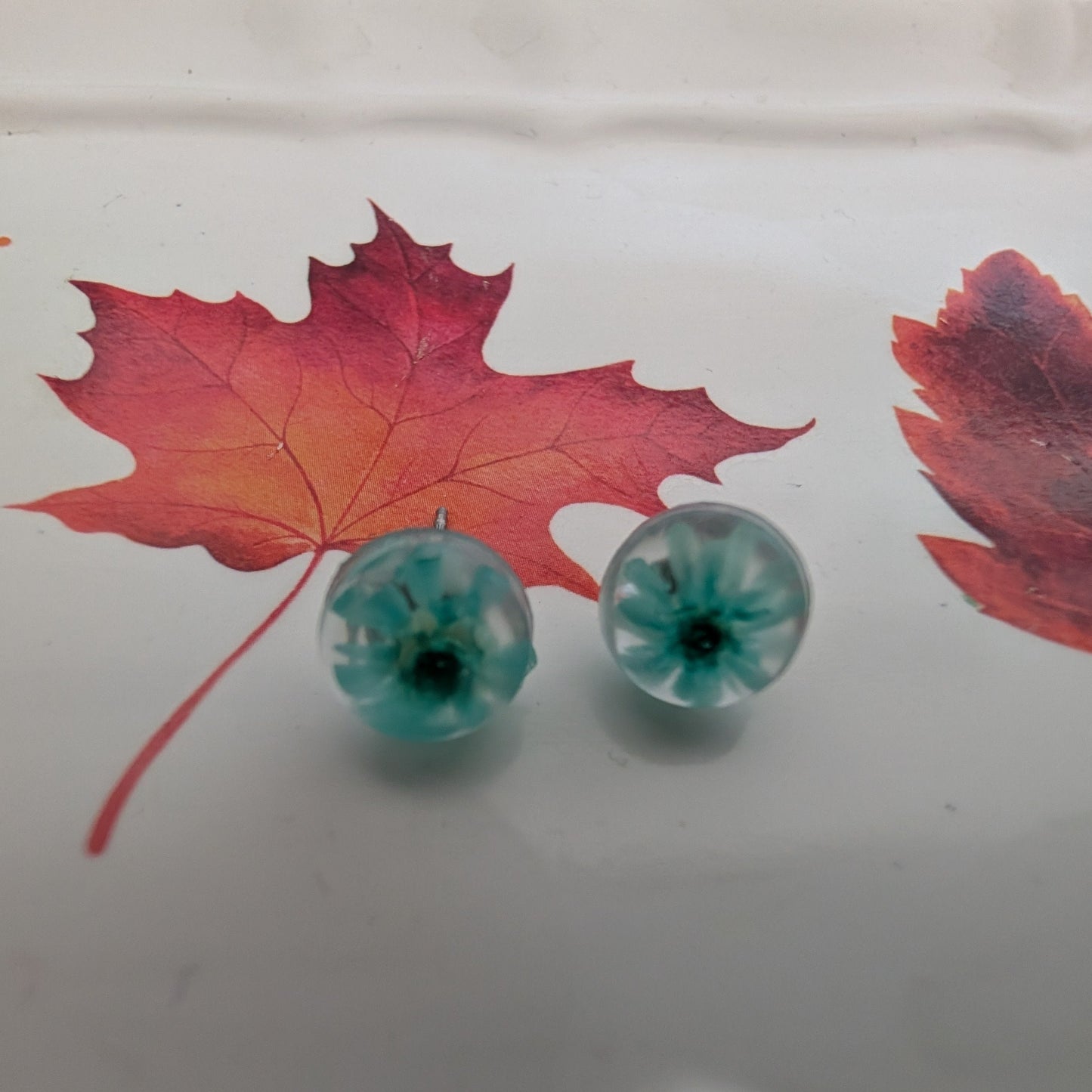 Earrings - Dried flowers Resin studs