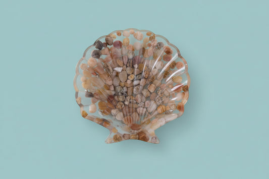Seashell trinket dish