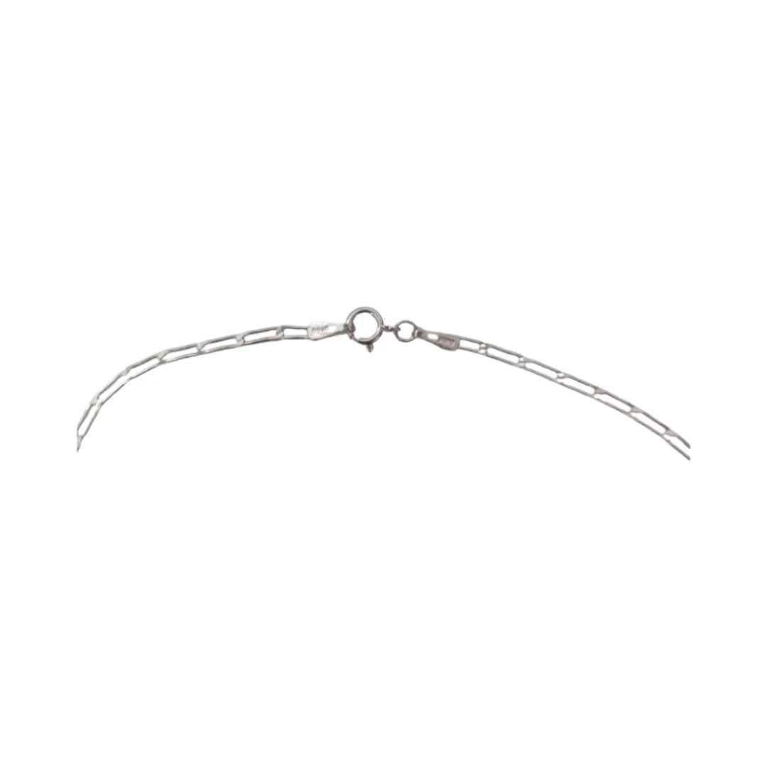 Necklace - 19 inches 925 silver paperclip chain with turtle charm