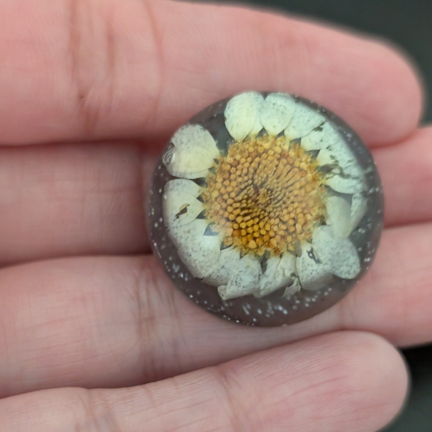 Add a touch of nature to your outfit with our Pin - 3D dried flower resin pin. The intricate design and 3D effect will surely catch everyone's eye. With the sturdy silver butterfly clutch, your pin will stay securely in place. Elevate your style with this unique and beautiful accessory.