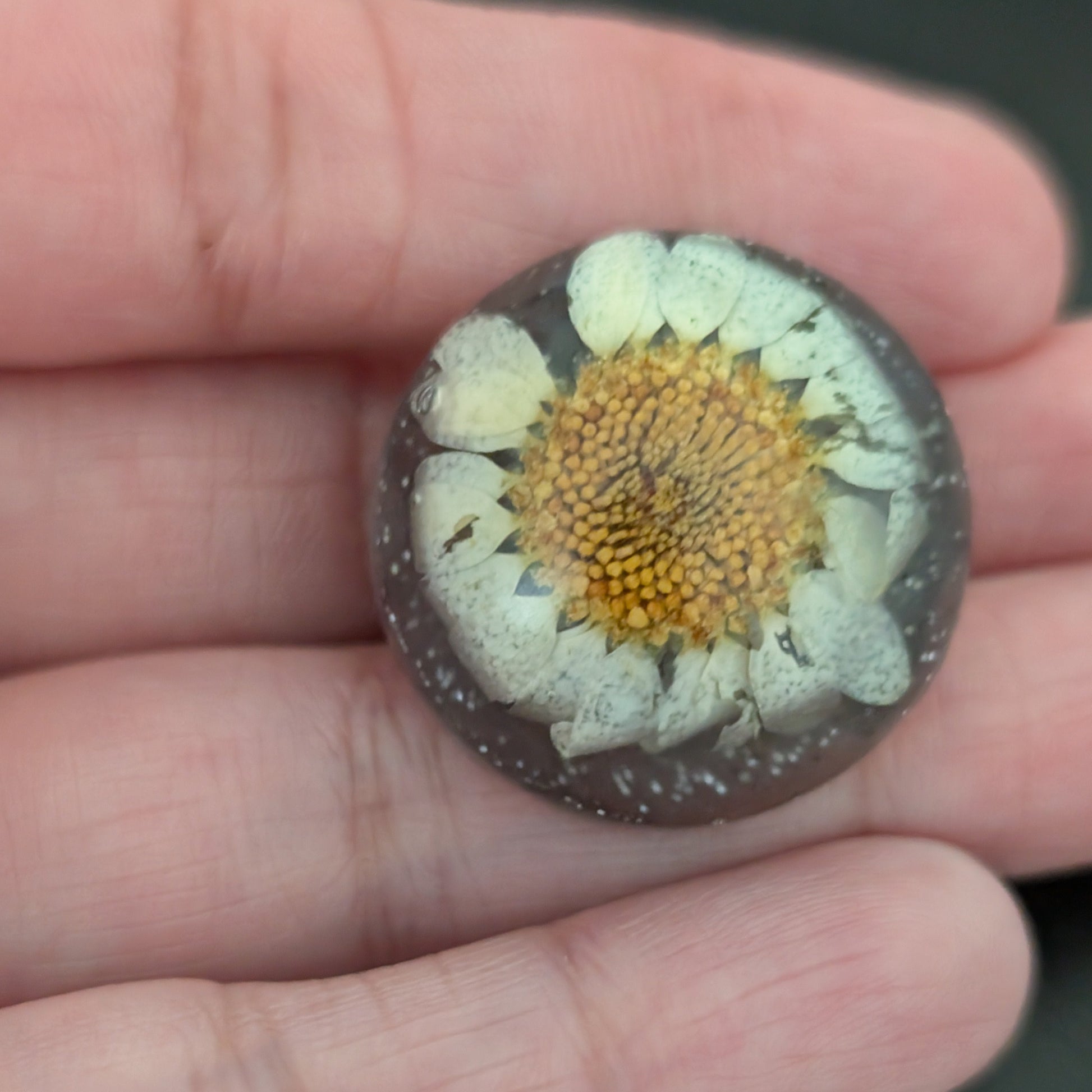 Add a touch of nature to your outfit with our Pin - 3D dried flower resin pin. The intricate design and 3D effect will surely catch everyone's eye. With the sturdy silver butterfly clutch, your pin will stay securely in place. Elevate your style with this unique and beautiful accessory.