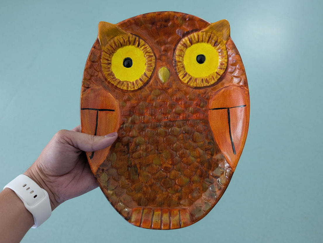 Hand holding an owl-shaped plate 