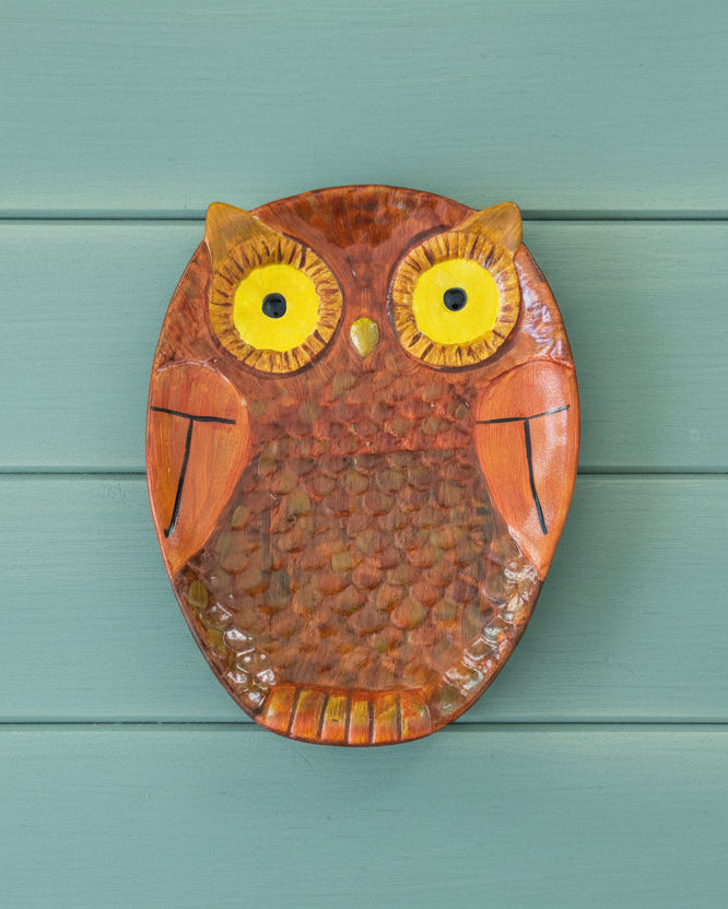 Ceramic owl plate with a textured brown design on a teal background