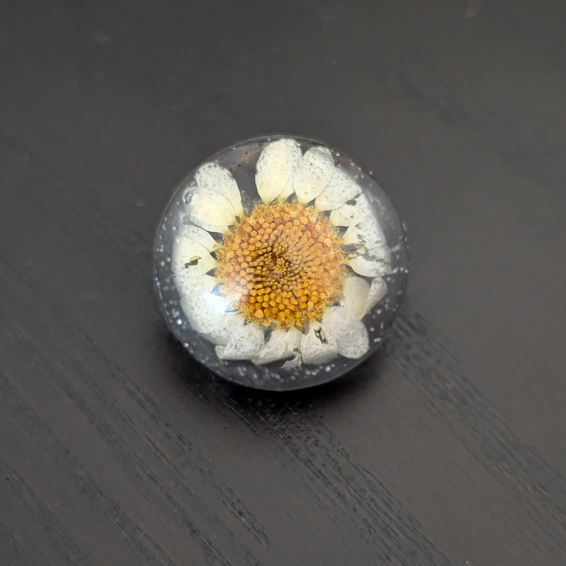 Add a touch of nature to your outfit with our Pin - 3D dried flower resin pin. The intricate design and 3D effect will surely catch everyone's eye. With the sturdy silver butterfly clutch, your pin will stay securely in place. Elevate your style with this unique and beautiful accessory.