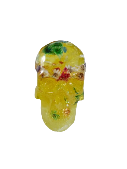 Resin medium skull