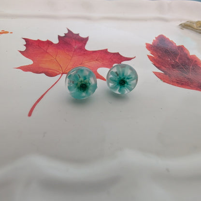 Earrings - Dried flowers Resin studs