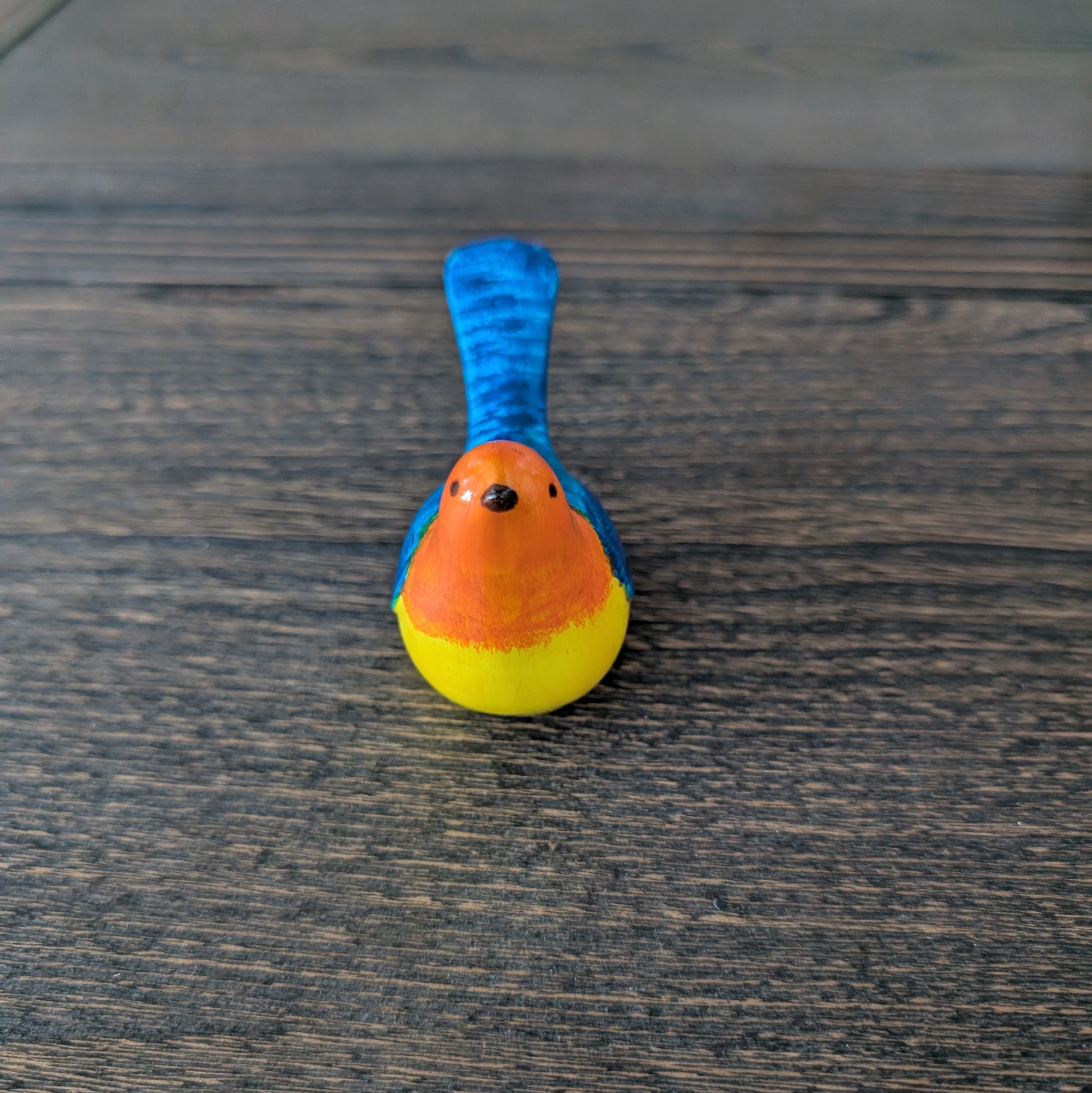 Colorful bird on a wooden surface