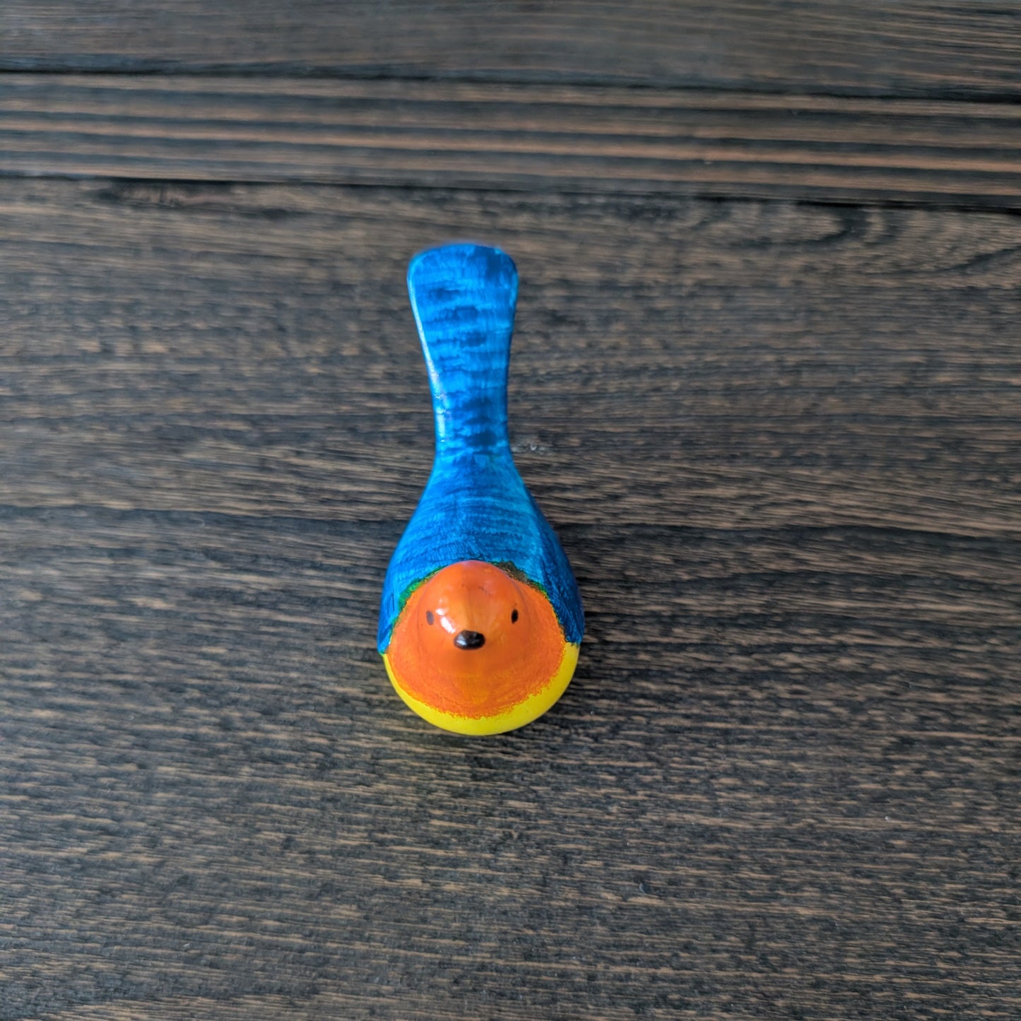 Colorful  bird  on a wooden surface