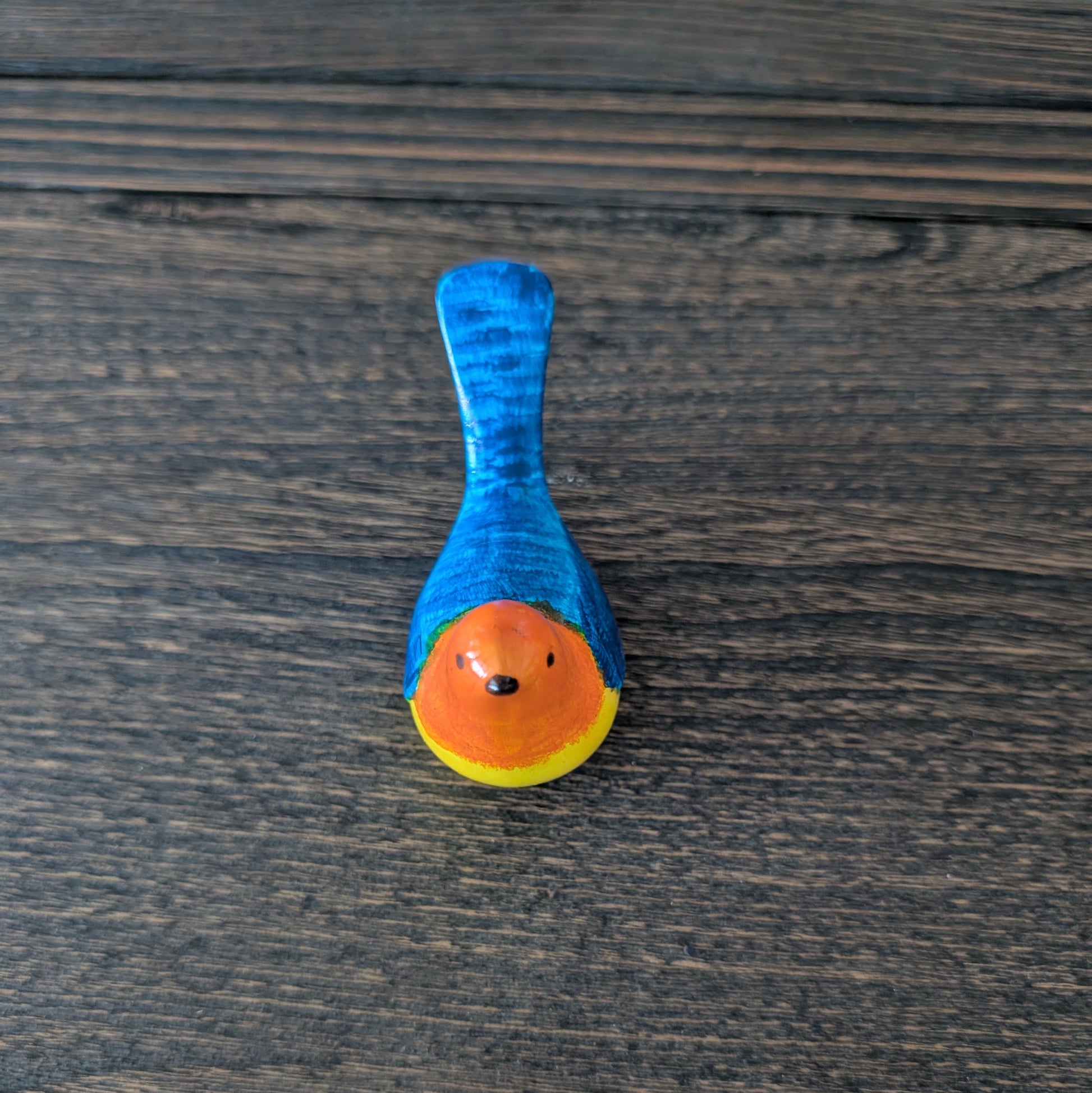 Colorful  bird  on a wooden surface