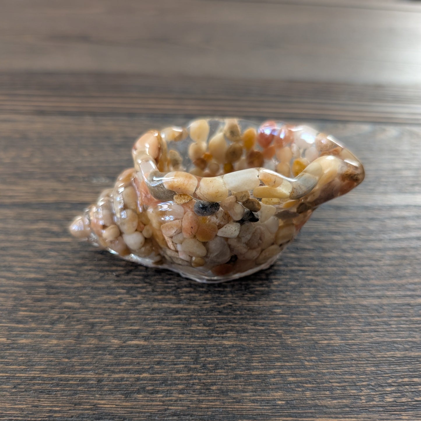 Shell with embedded stones on a wooden surface