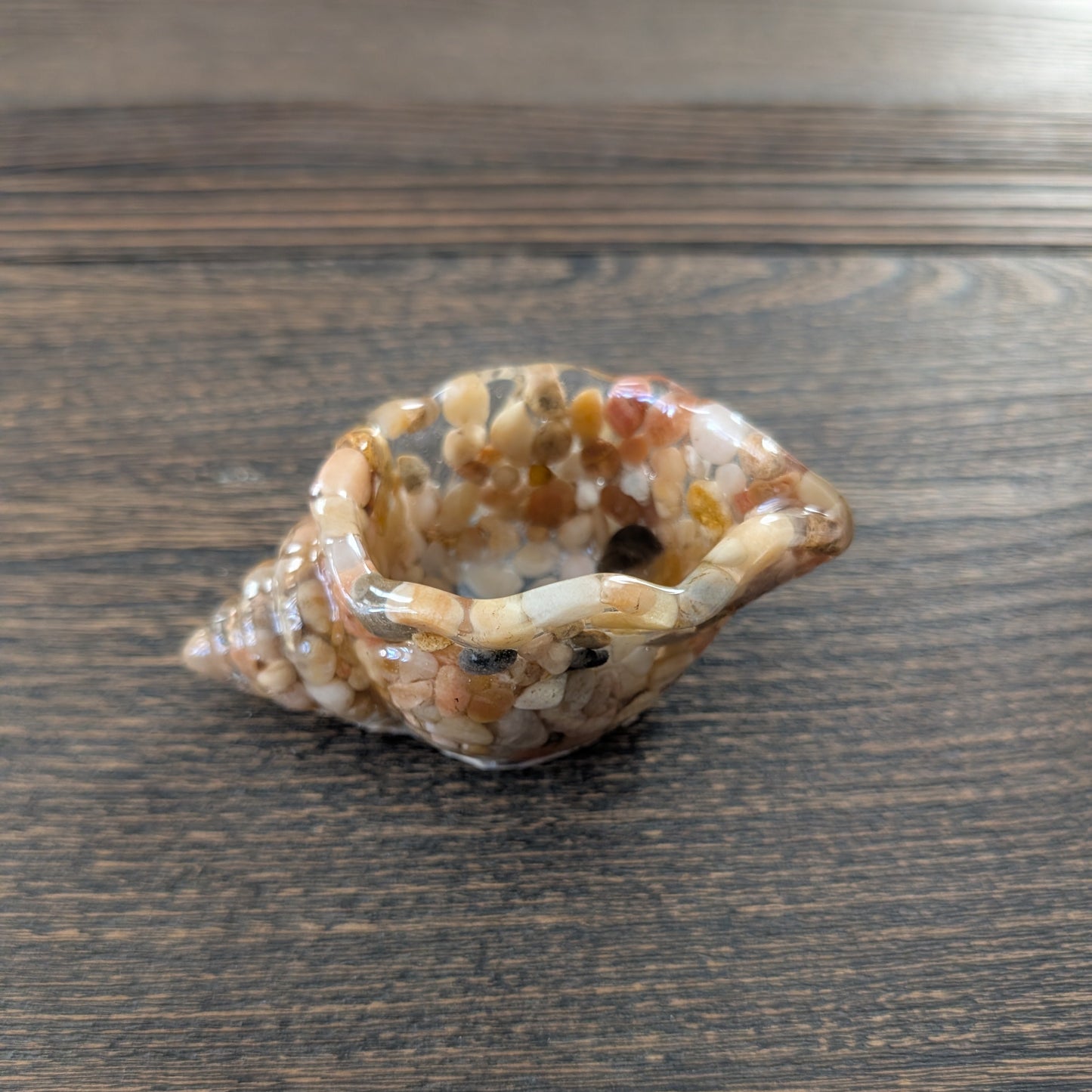 Resin trinket conch/sea snail B dish