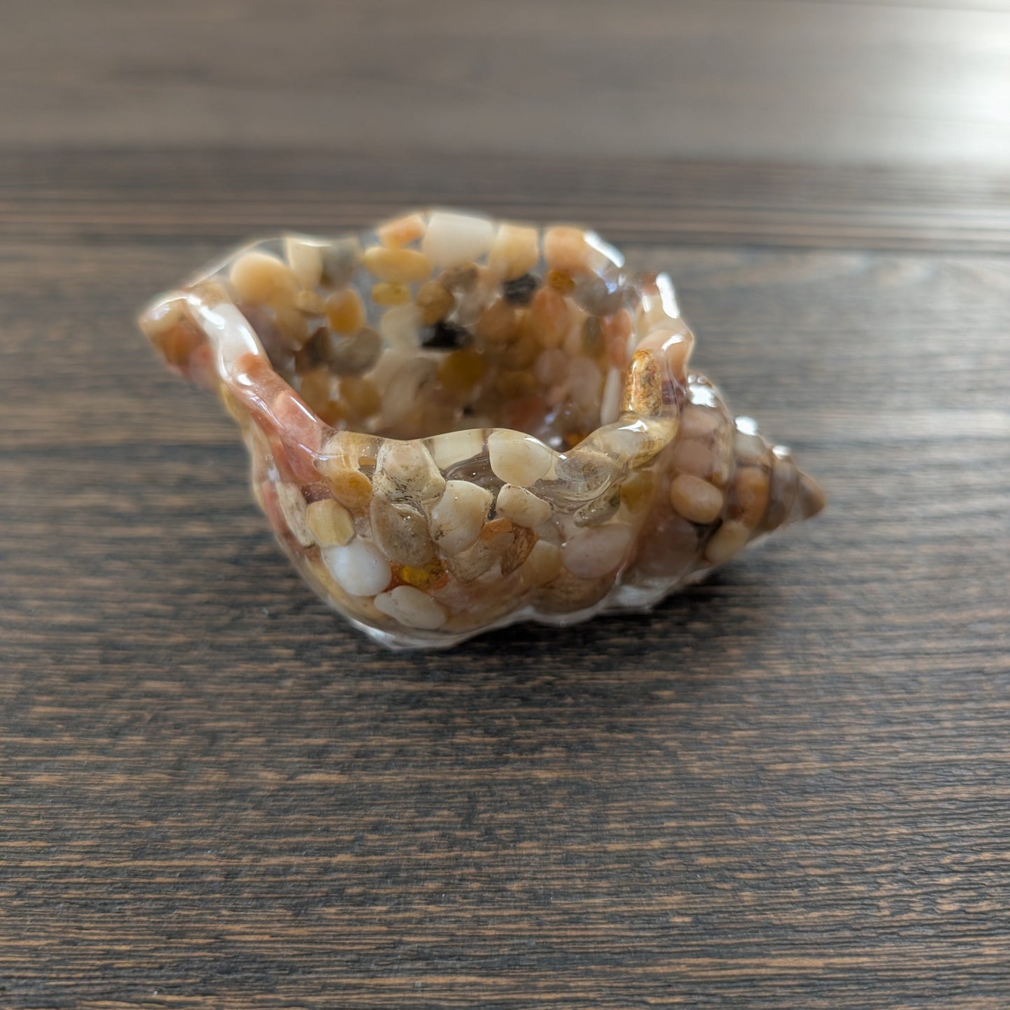 Resin trinket conch/sea snail B dish