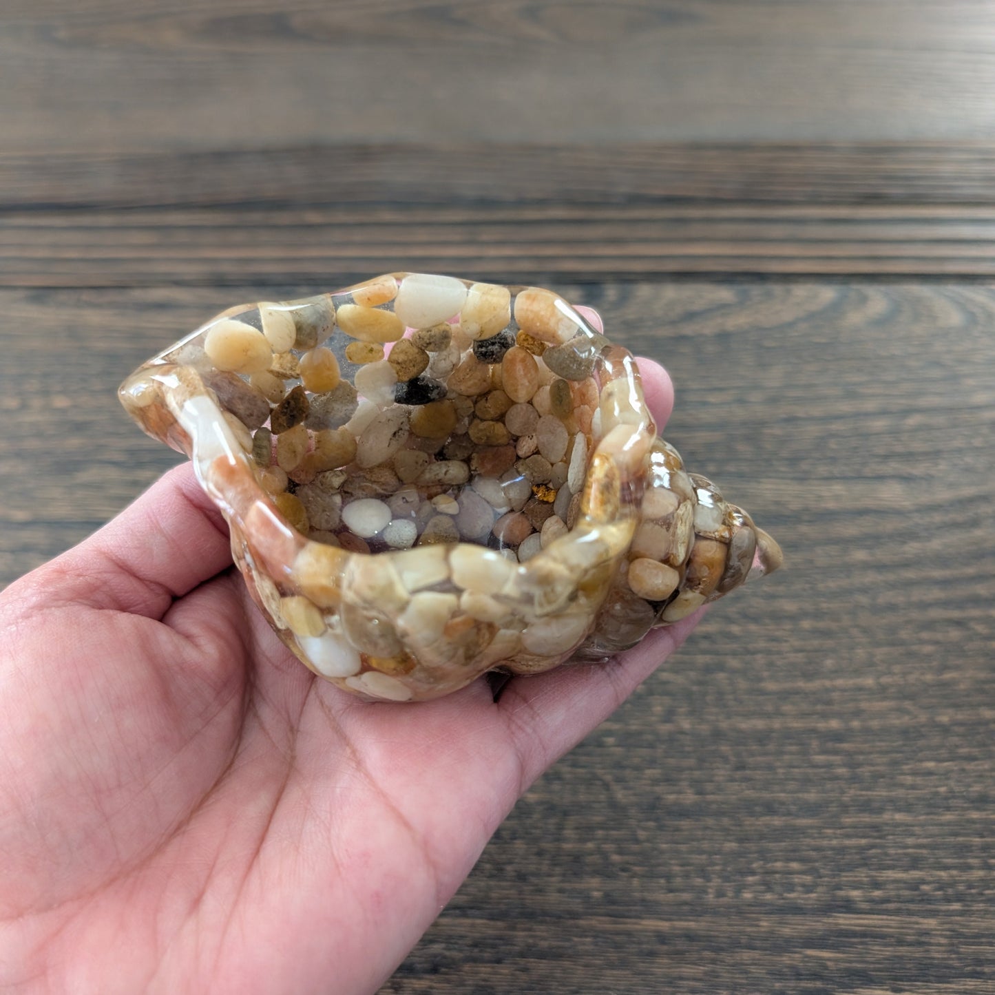 Resin trinket conch/sea snail B dish