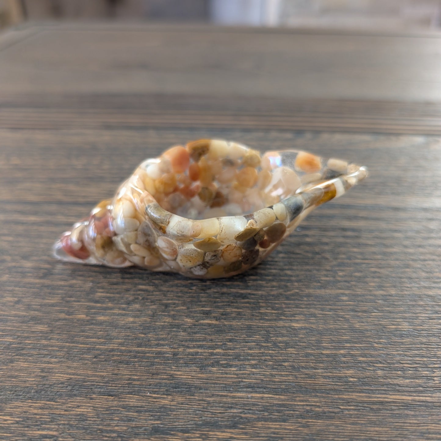 Knickknack - Resin trinket conch/sea snail A dish