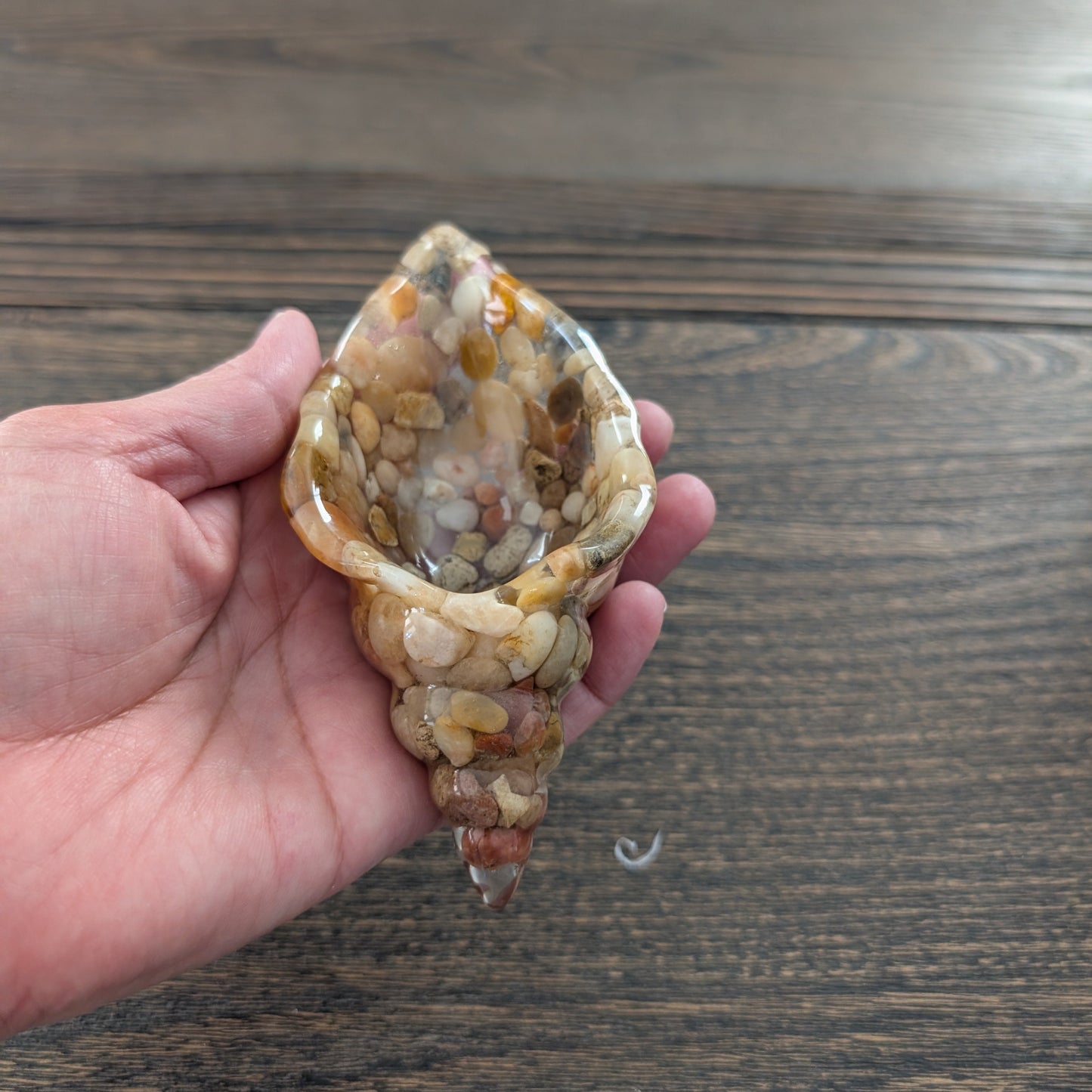 Knickknack - Resin trinket conch/sea snail A dish