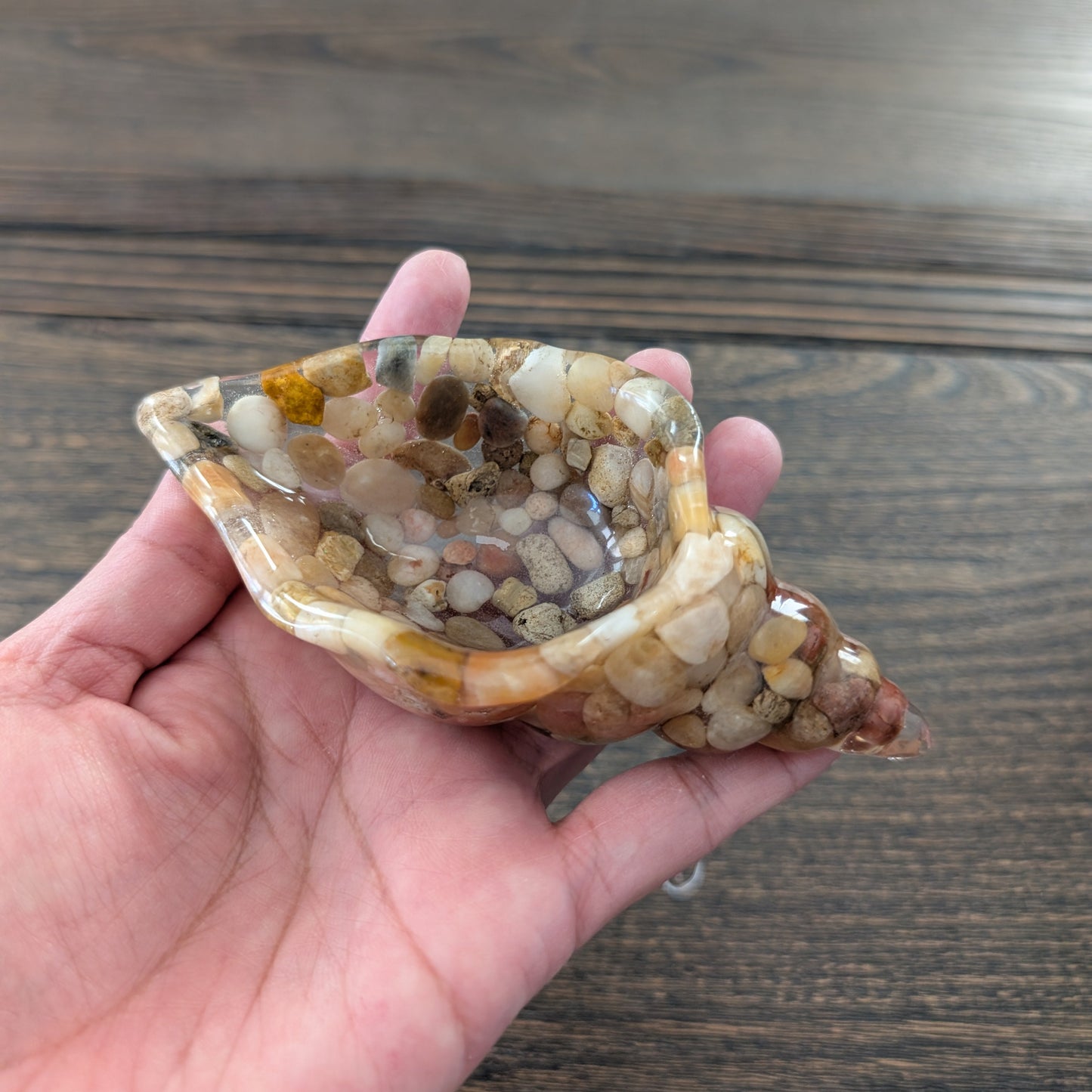 Knickknack - Resin trinket conch/sea snail A dish