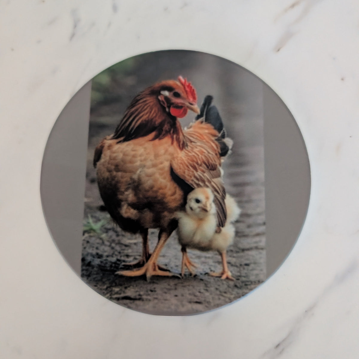Hen and Chick Ceramic Coaster, Farmhouse Drink Coaster, Rustic Country Home Decor