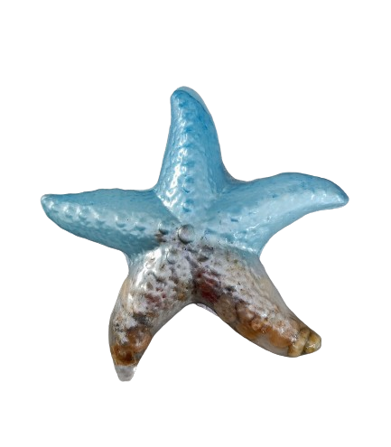 Knickknack - Resin starfish