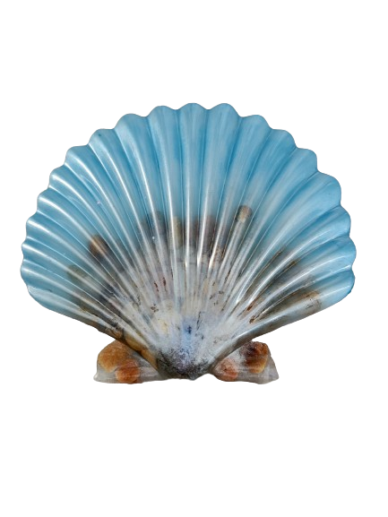 Knickknack - Resin seashell