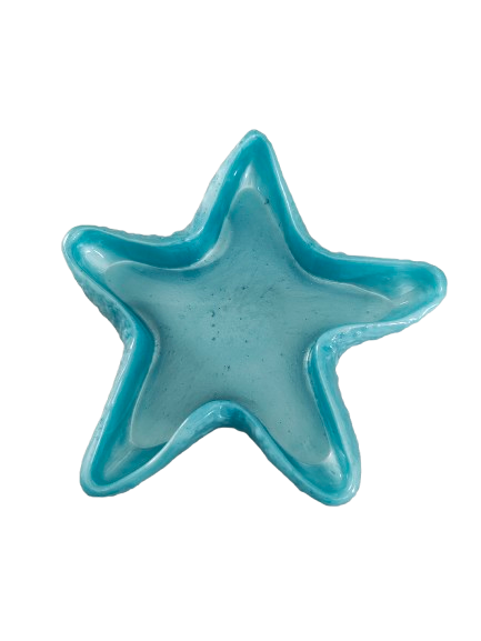 Knickknack - Resin Starfish trinket dish