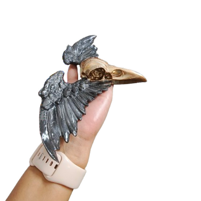 Knickknack - Resin Crow skull skeleton